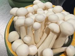 -老灶堂文创火锅(文艺路店)