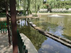 -西安市长乐公园