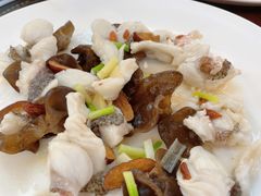 桑拿鱼-榕记(番禺总店)