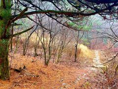 -浙西天池-售票处
