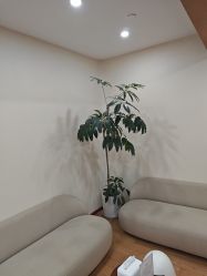 -HEYAN荷妍专业脱毛连锁机构