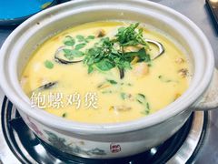 鲍螺鸡煲-金龙·打边炉(武进路店)