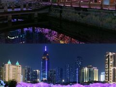 -西北湖绿化广场