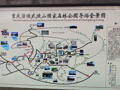 -武陵山森林公园