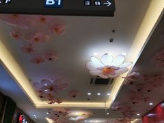 -紫荆广场·花漫里