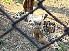 -大连森林动物园