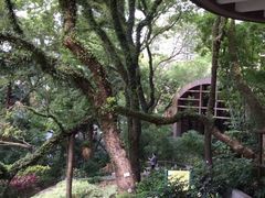 -香港大学