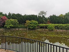 -嘉定紫藤园