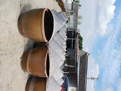 -苏州市吴中区光福窑上花果蜜饯厂