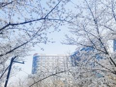 -新天地活力PARK