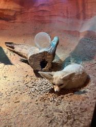 -酷嗒动物文化乐园(cutezoo西溪乐天城店)