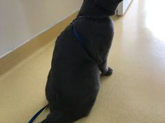 -芭比堂动物医院·犬猫全科·异宠专科(雁塔分院)