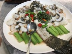 笋壳鱼-五稻厨房粤西菜(新闻店)