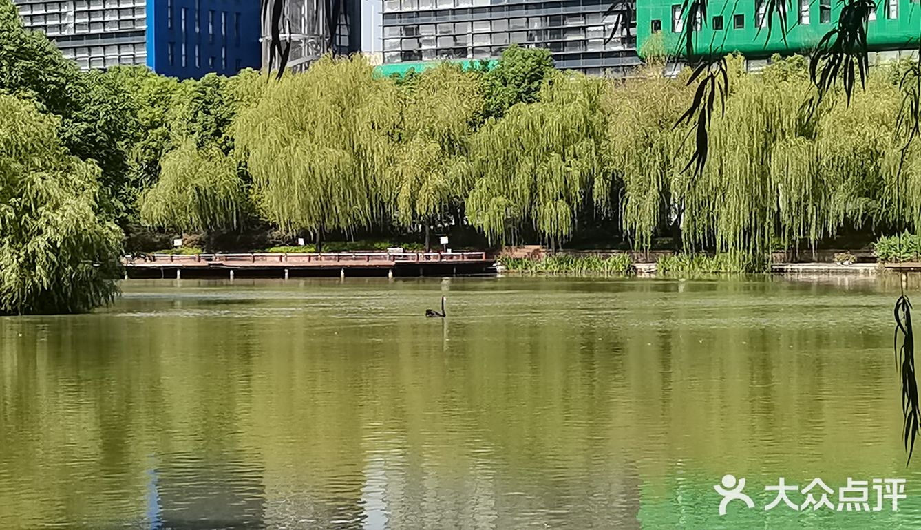 国庆游湖笔记之金桥碧云office park园区