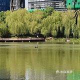 国庆游湖笔记之金桥碧云office park园区