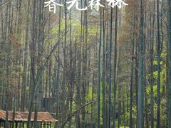 -波尔登森林公园