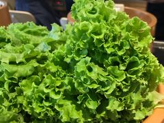 生菜-龍歌自助小火锅(市南金茂湾店)