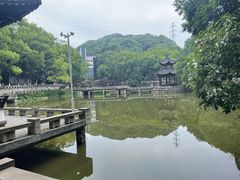 -忠山公园