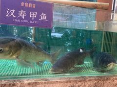 -鱼你相聚·河鲜馆(袁家岭店)