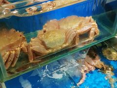 -平川日本料理