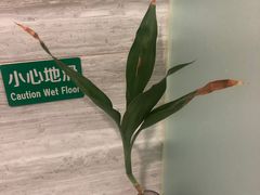 -金紫薇酒店(成都春熙路步行街店)