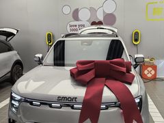 -上海浦东smart汽车全功能店(金桥店)