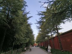 -洛阳白马寺
