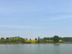-东郊湿地公园