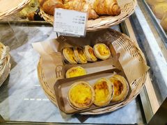 蛋挞-多乐之日(富力城店)
