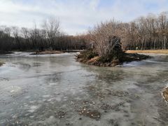 -东郊湿地公园