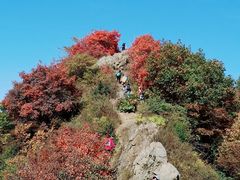 -秦岭风景区