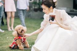 点击看大图 -Lady Jane高端婚纱礼服馆