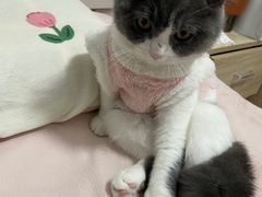 -蛙小侠(长安万科店)