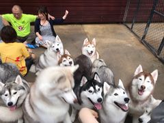 -TrueLove @ Neverland (Husky Cafe)