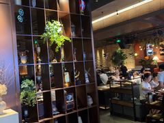 -同仁四季椰子鸡(宝安壹方城店)