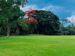 -中国科学院西双版纳热带植物园