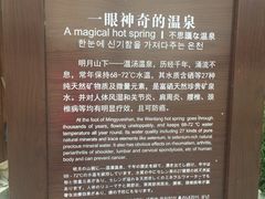 -温汤大酒店餐厅