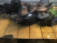 -甜心闲生传统手工冰粉(奎星楼店)