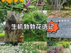 -国家植物园