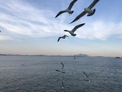 -东港音乐喷泉广场