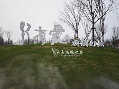 -荷兰花海