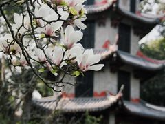 -成都杜甫草堂博物馆