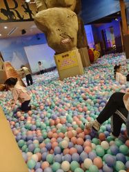 -卡通尼·Safari非洲探索乐园·生日会(金桥国际商业广场店)