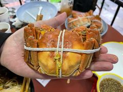 -黄记大闸蟹专卖店·活蟹·醉蟹