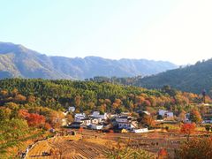 -塔川景区