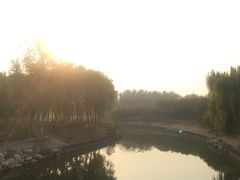 -大兴滨河森林公园