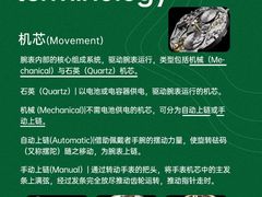 -海星奢选二手奢侈品手表包包鉴定回收寄卖(墨玉南路店)