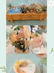 -baby bella小贝拉母婴护理中心(杭州凯宾斯基店)