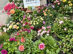 -状元楼(金溪路店)