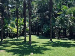 -中国科学院西双版纳热带植物园